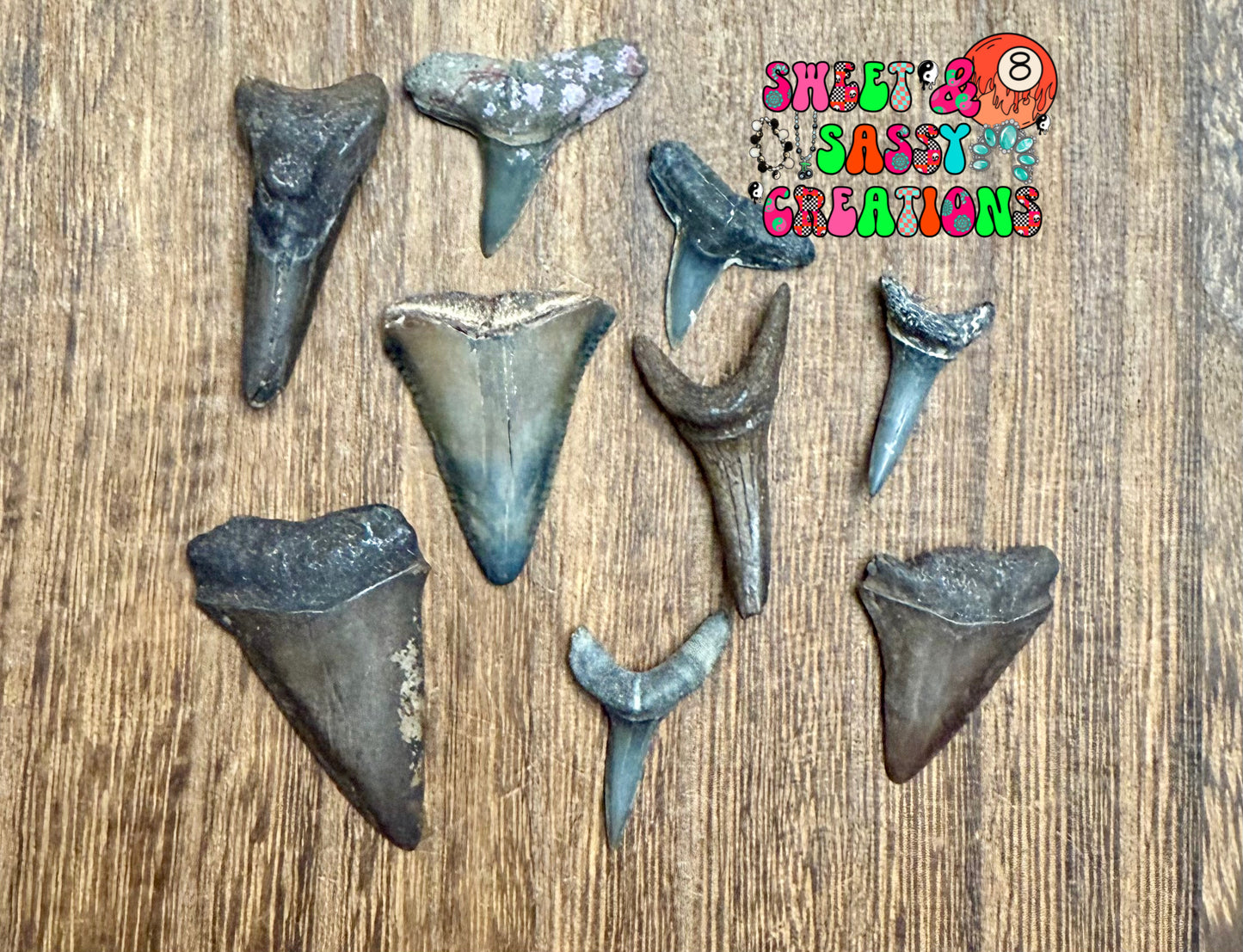 Genuine Sharks Teeth Necklace (please leave the size in notes at checkout)